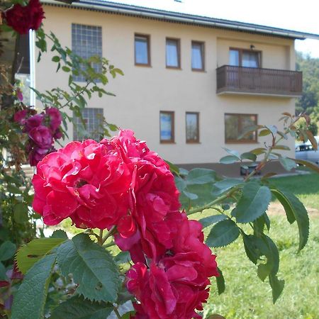 Apartments T&M Mrkopalj Zewnętrze zdjęcie